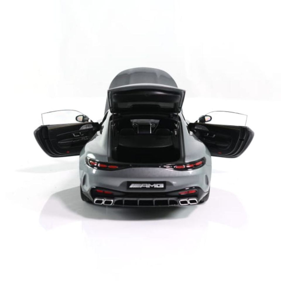 NZG MERCEDES AMG GT 63 4MATIC 2024 (B66960584)  1:18