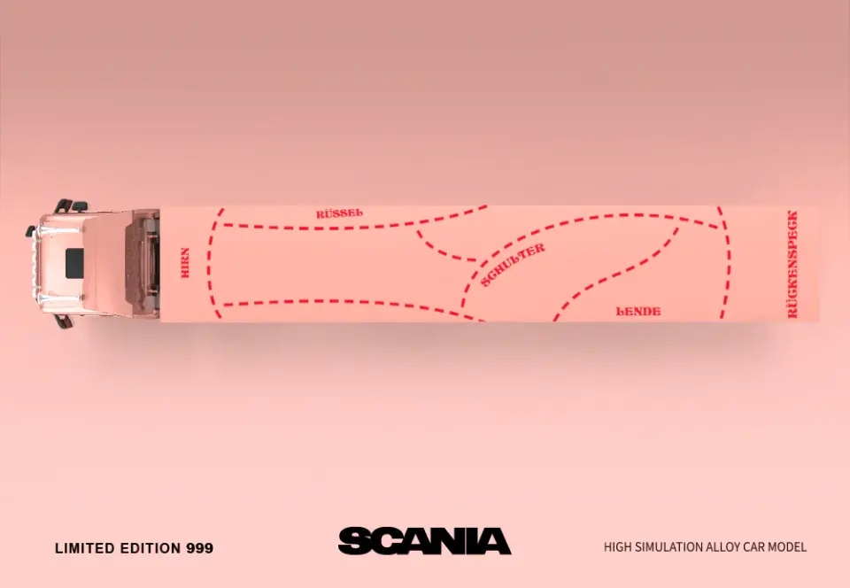 TIME MICRO SCANIA CONTAINER TRUCK PINK PIG 1:64