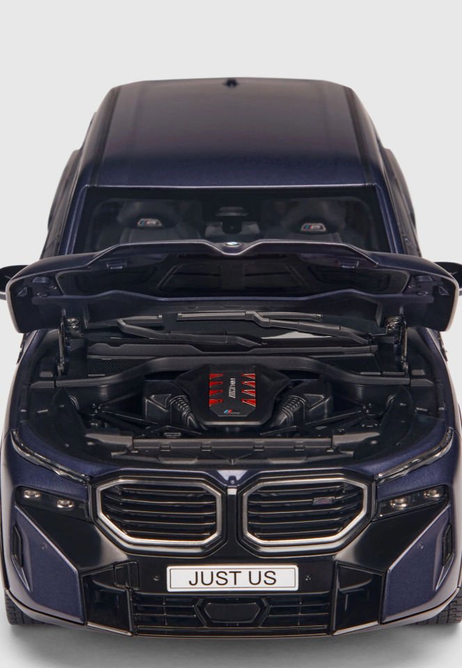 Minichamps BMW XM G09 Frozen Techno Violet 1:18 (80435B5F643)