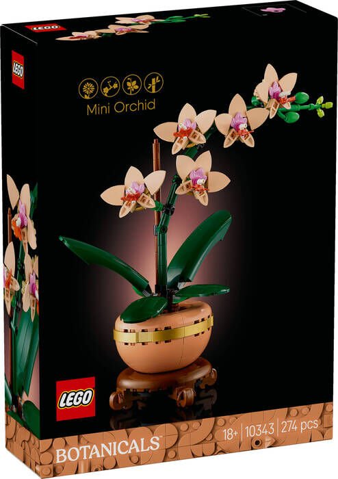 10343 LEGO® Botanicals Mini Orkide