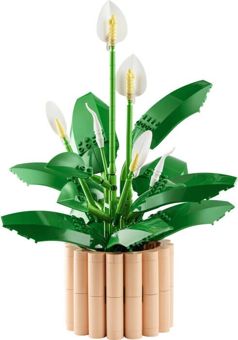 LEGO® Botanicals Barış Çiçeği