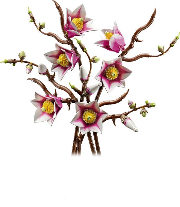 LEGO® Botanicals Manolya Dalları