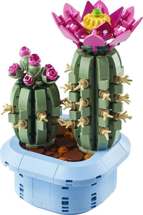 LEGO® Botanicals Çiçekli Kaktüs