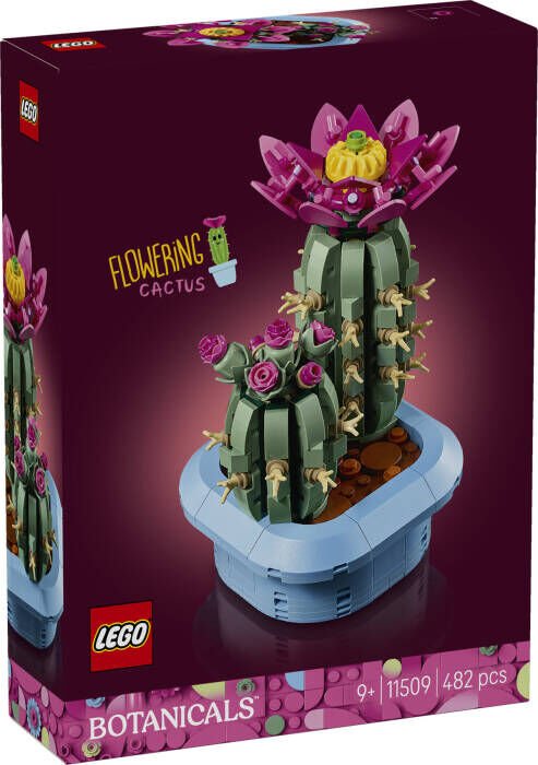 LEGO® Botanicals Çiçekli Kaktüs