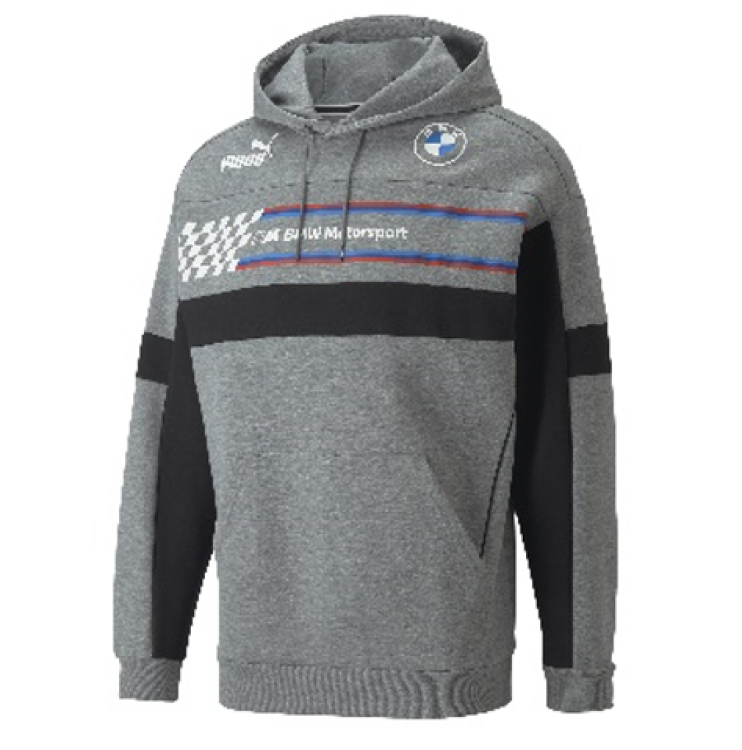 BMW M Motorsport SDS Hoodie Men grey, XL