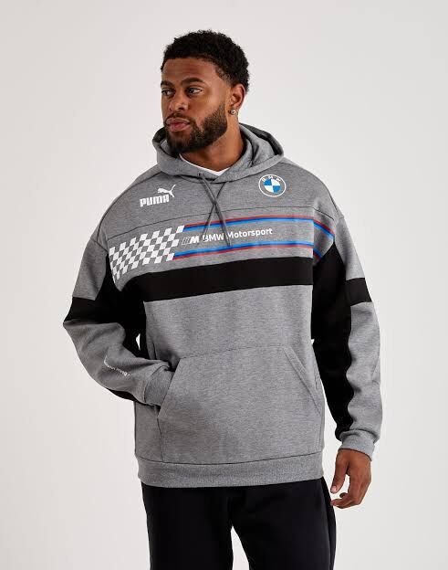 BMW M Motorsport SDS Hoodie Men grey, XL
