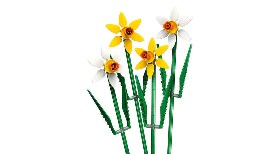 LEGO® Botanicals Nergis